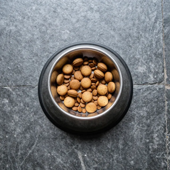 A steel bowl of dry dog food, seen from above