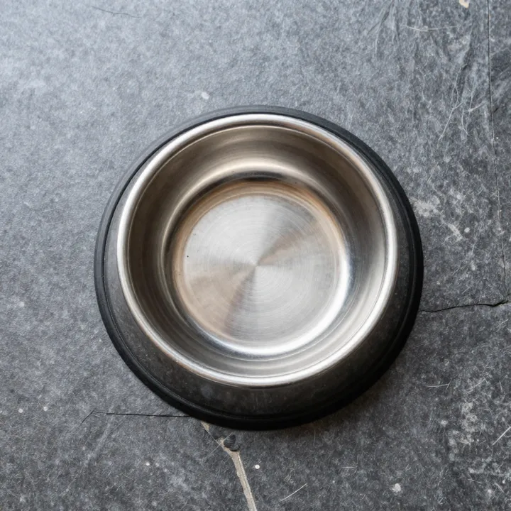 A new, empty steel dog bowl, seen from above